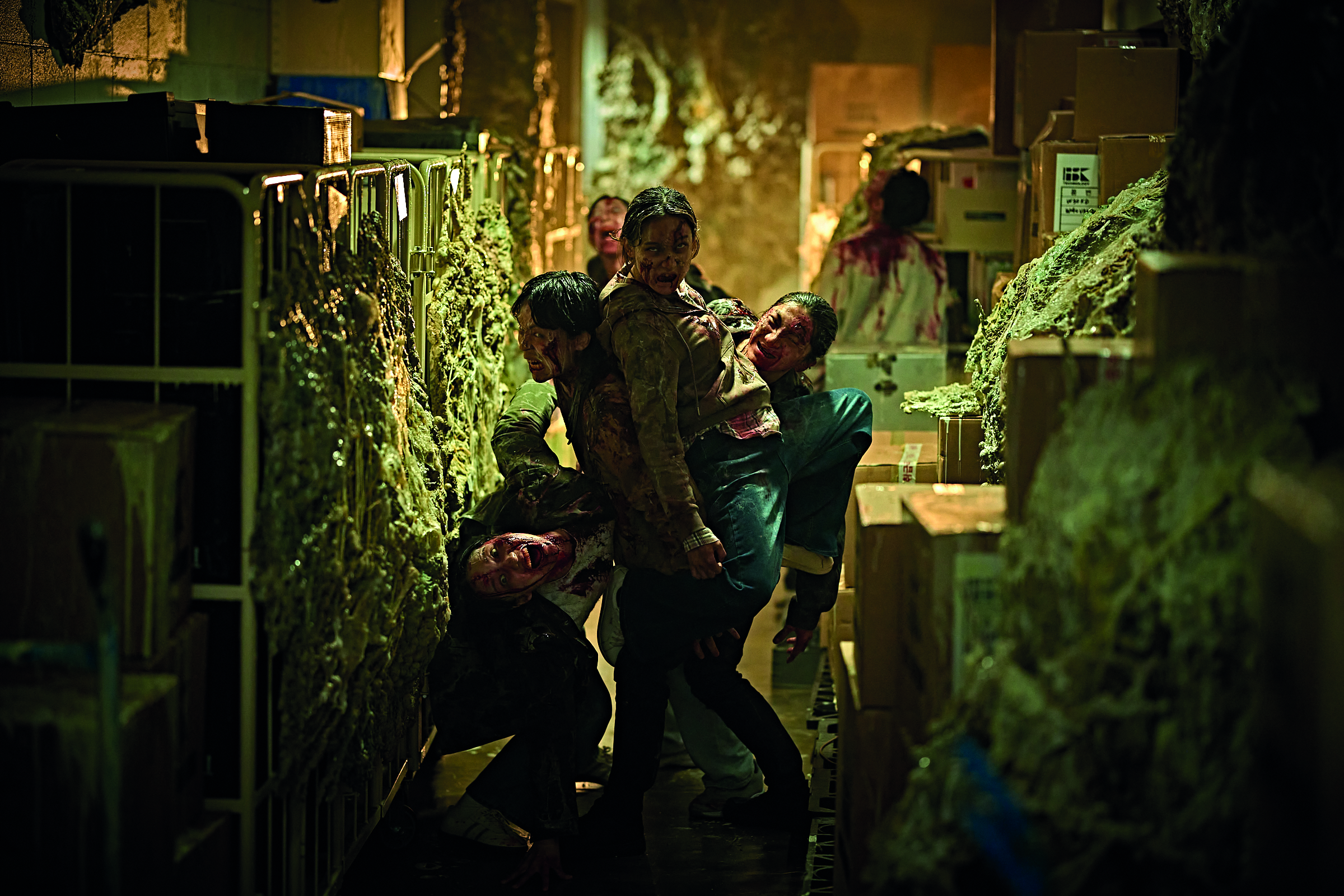 Colony
